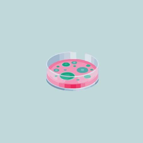 3D model of Cell Model