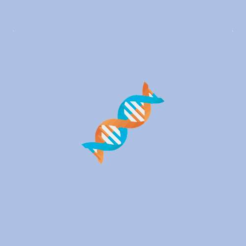 DNA Model